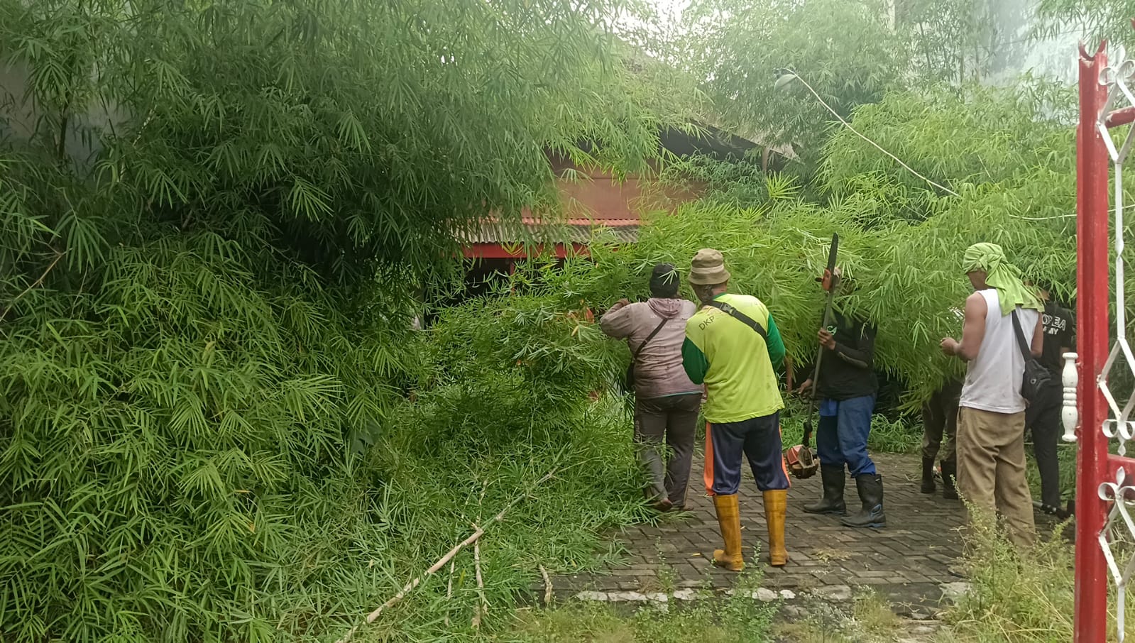DLH Rayon Surabaya Timur Sigap Tangani Aduan Hama Ulat Bulu di Tambaksegaran Wetan