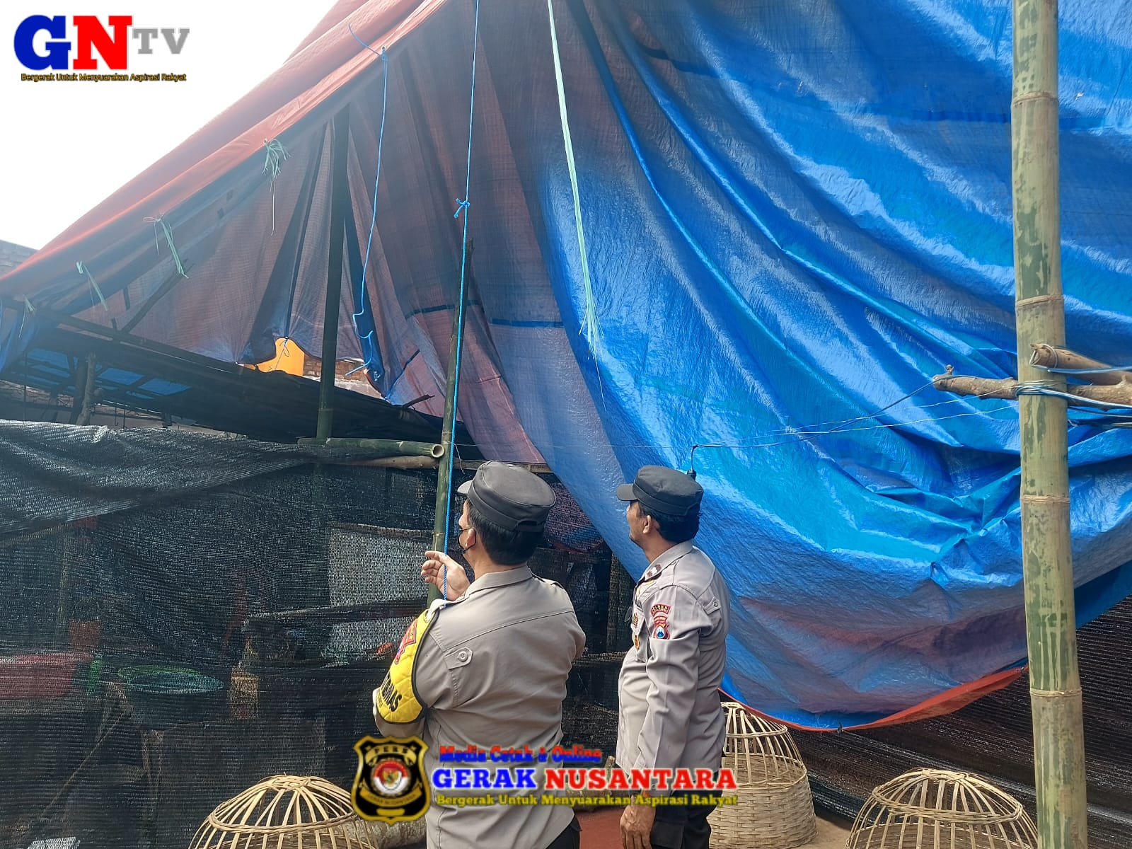 Polisi Bongkar Arena Dugaan Sabung Ayam di Pakisaji Malang