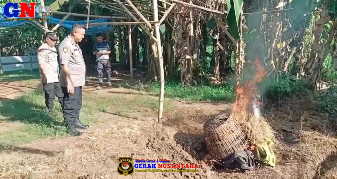 Polsek Grati Bongkar Arena Judi Sabung Ayam dan Cap Jie Kie