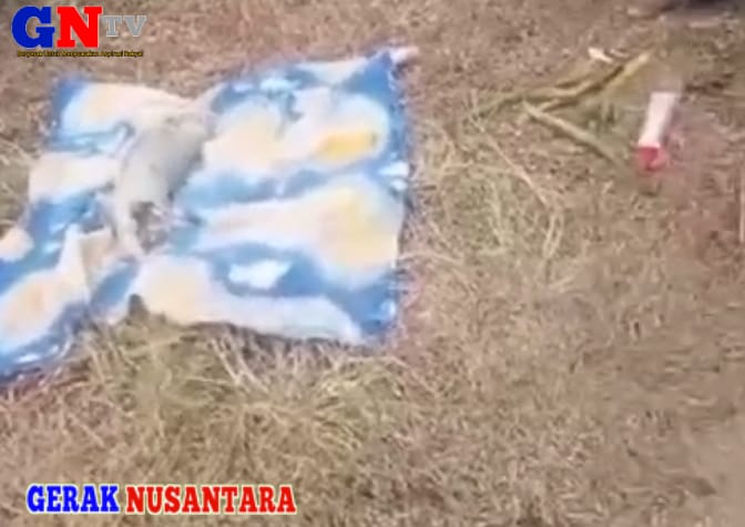 Warga Disekitar DAM Pondok Dalam Tanggul Di Hebohkan Dengan Penemuan Jasad Bayi