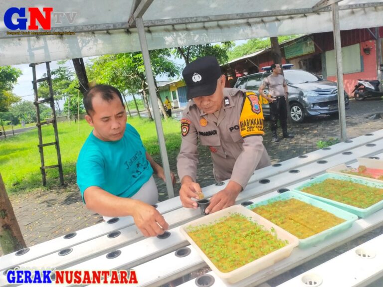 Gelorakan Swasembada Pangan, Polisi di Sidoarjo Ajak Warga Kembangkan Tanaman Hidroponik